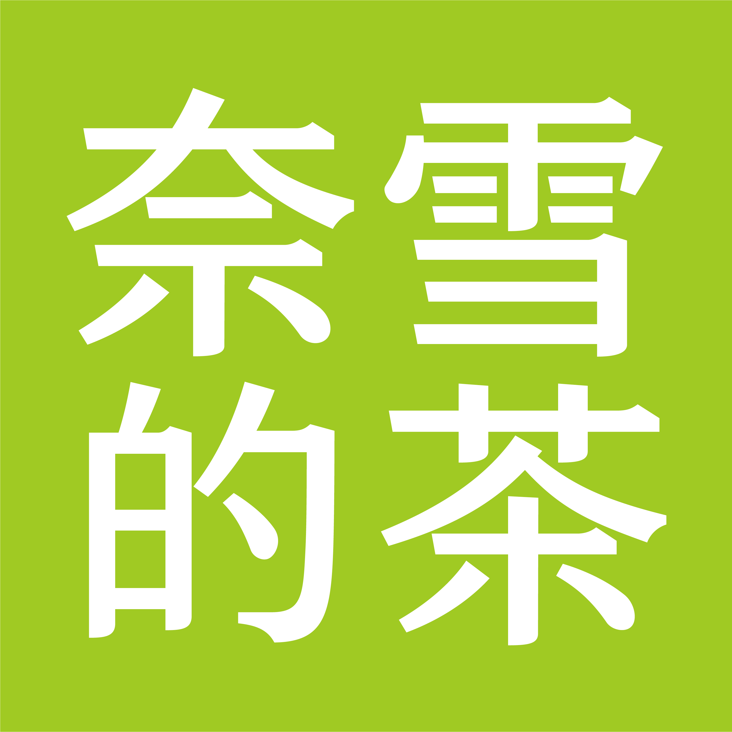 NaiSnow logo